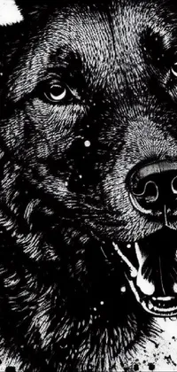 The phone live wallpaper presents a stunning black and white drawing of a German Shepherd dog