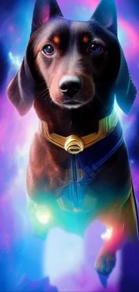 This live phone wallpaper showcases a close-up of a dachshund dog with a galaxy background