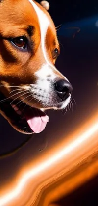 This phone live wallpaper features an adorable dog on a leash, captured with digital art by a skilled creator