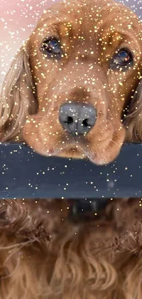 This live wallpaper features a brown dog with ginger fur standing on a metal rail, captured in wintertime