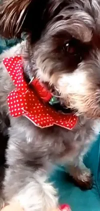 Bring an adorable pooch to your phone screen with this live wallpaper