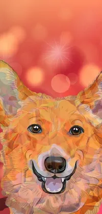 Dog Carnivore Orange Live Wallpaper