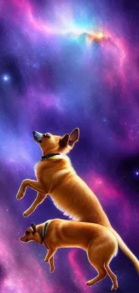 This phone live wallpaper depicts playful dogs jumping in the air against a mesmerizing galaxy backdrop