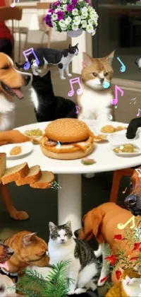 Dog Cat Tableware Live Wallpaper