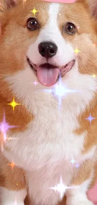 This cute and playful phone live wallpaper features a group of furry pets, including dogs and cats