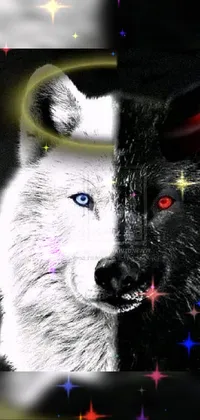 This phone live wallpaper features a fierce wolf with a halo on its head against a striking red, white, and black background
