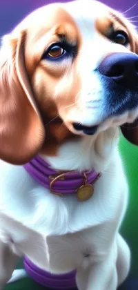Looking for a stunning live wallpaper for your phone? This one features an adorable brown and white dog with a striking purple collar