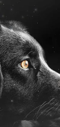 This captivating live wallpaper for phones showcases an exquisite close-up of a canine, with a black backdrop and sepia tone