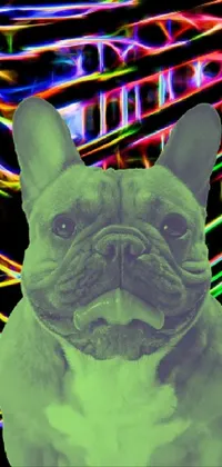 This live wallpaper depicts a charming French Bulldog sitting in front of a dazzlingly surreal background