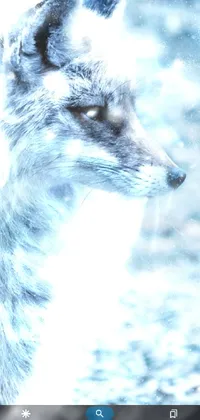 snow wolf Live Wallpaper
