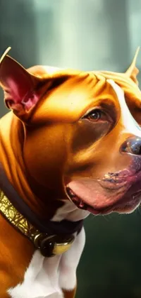This live wallpaper features a realistic digital painting of a pitbull dog wearing a gold collar in a 3D render style