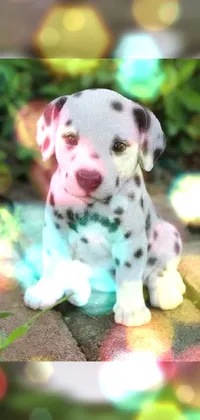 This live phone wallpaper features a photorealistic image of a dalmatian puppy sitting on a rustic brick walkway