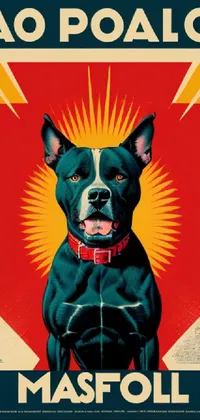 Dog Dog Breed Dog Supply Live Wallpaper