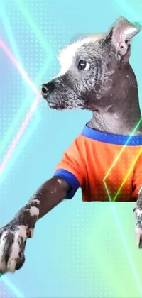 This phone live wallpaper features a neo-dada design with a close-up of a hairless, shirt-wearing dog