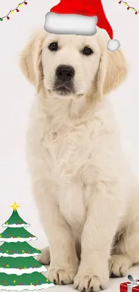 Dog Dog Breed Green Live Wallpaper