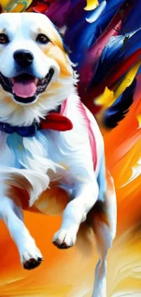 Dog Dog Breed Hood Live Wallpaper