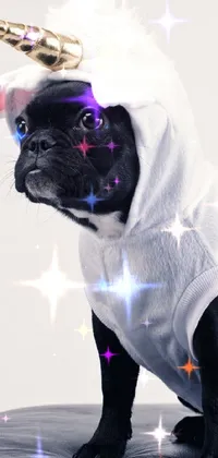 This phone live wallpaper features a delightful portrait of a cartoon animal - a small black dog dressed in a unicorn costume