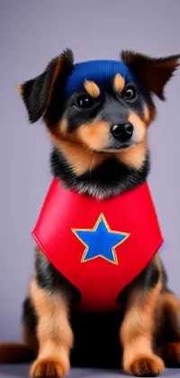 This live wallpaper features an adorable dog in a red shirt with a blue star, wearing a superhero costume, against a fun and colorful comic book background