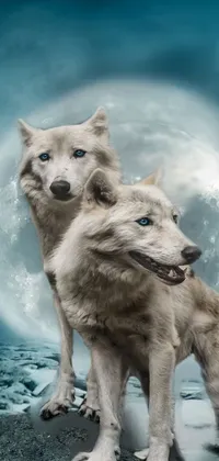 Dog Dog Breed Wolf Live Wallpaper