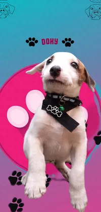Dog Dog Supply Dog Breed Live Wallpaper