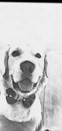 Add a touch of sophistication to your mobile display with this stunning black and white live wallpaper featuring a beautiful pop art-inspired golden retriever drawing