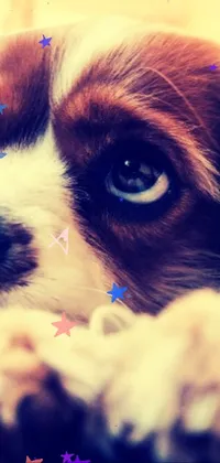 Dog Eye Ear Live Wallpaper