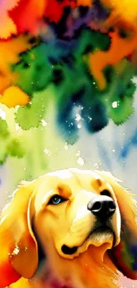 Dog Facial Expression People In Nature Live Wallpaper