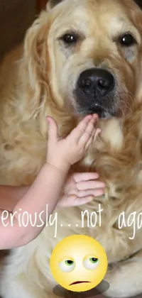 Dog Facial Expression Yellow Live Wallpaper