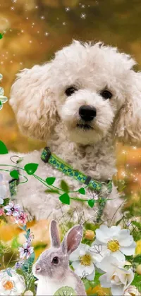 Dog Flower Green Live Wallpaper