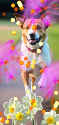 Dog Flower Light Live Wallpaper