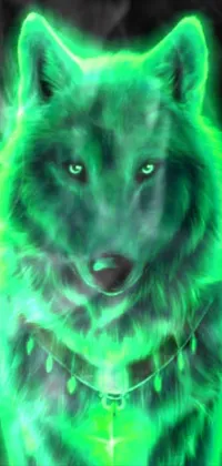 Dog Green Carnivore Live Wallpaper
