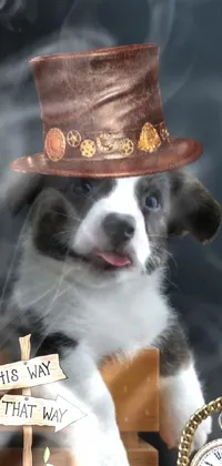 Dog Hat Fedora Live Wallpaper