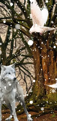 This mesmerizing live wallpaper showcases a stunning white wolf standing in front of a tree - a perfect blend of nature and surrealism