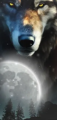 Looking for a captivating live wallpaper to add to your phone? Look no further than this gorgeous image of a wolf gazing up at the full moon