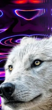 Transform your phone screen with this captivating live wallpaper featuring a close-up of an anthropomorphic wolf set against an eye-catching purple background in a psychedelic art style