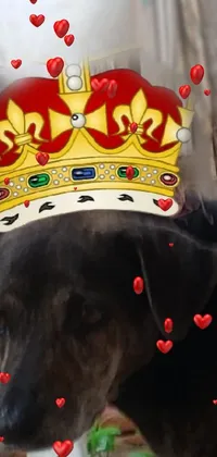 This phone live wallpaper showcases a cute canine adorned with a golden crown for a regal touch