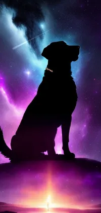 Dog Light World Live Wallpaper