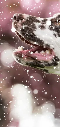 Dog Liquid Carnivore Live Wallpaper