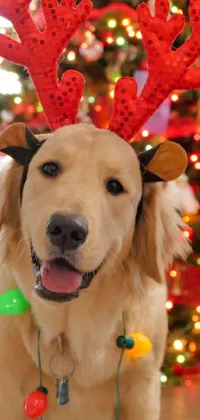 Dog Mammal Christmas Tree Live Wallpaper