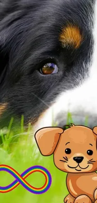This phone live wallpaper showcases an adorable brown dog laying in a green grass field beside a cuddly teddy bear