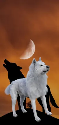 Dog Moon Carnivore Live Wallpaper
