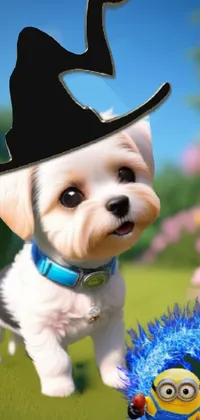Dog Party Hat Witch Hat Live Wallpaper