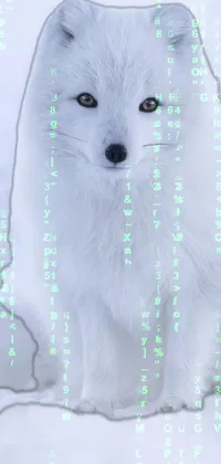 This live wallpaper showcases an adorable white dog sitting in snowy terrain