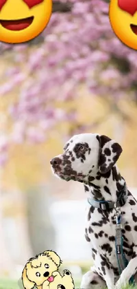 Dog Photograph Plant Live Wallpaper