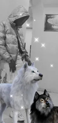 Dog Photograph White Live Wallpaper