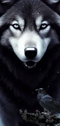 This stunning live wallpaper features a captivating black and white wolf standing gracefully in the snow
