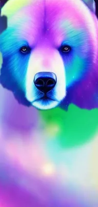 This live wallpaper features a vibrant bear set against a breathtaking galaxy backdrop
