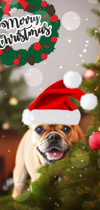 Dog Plant Christmas Tree Live Wallpaper
