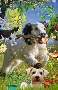 Dog Plant Nature Live Wallpaper