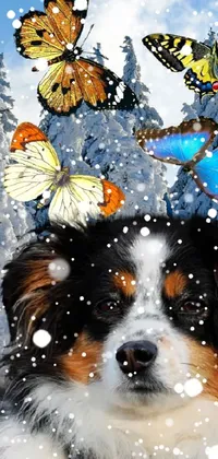 Dog Pollinator Butterfly Live Wallpaper